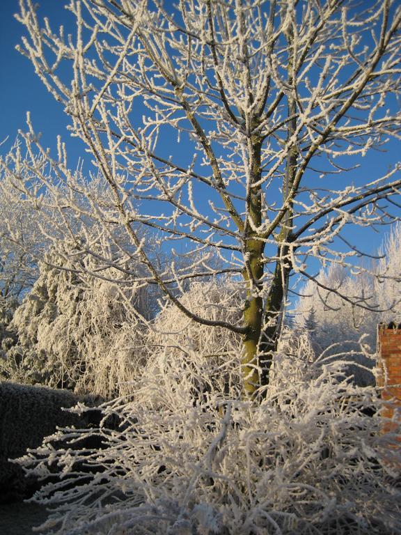 Bocholt B&B Het Uilennest المظهر الخارجي الصورة