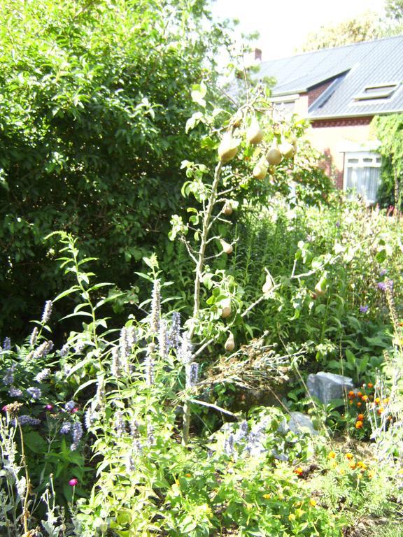 Bocholt B&B Het Uilennest المظهر الخارجي الصورة
