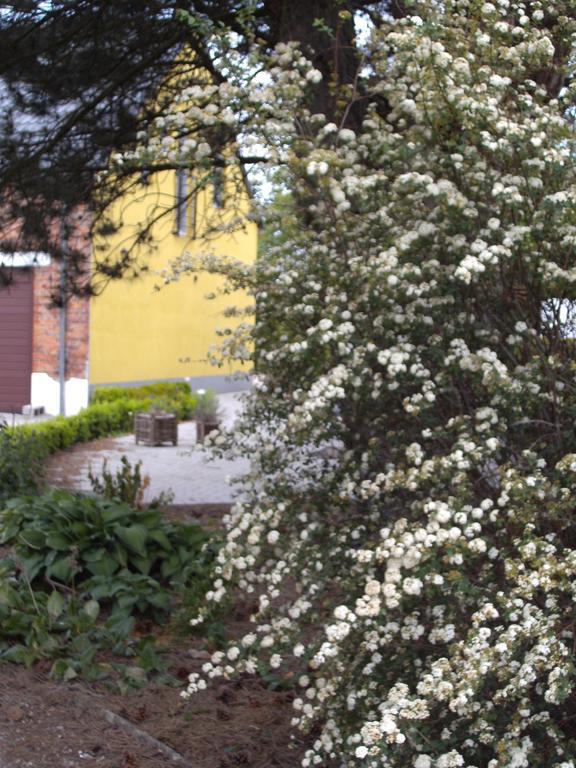 Bocholt B&B Het Uilennest المظهر الخارجي الصورة